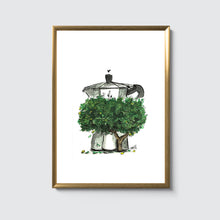 Laden Sie das Bild in den Galerie-Viewer, Bialetti Zitronenbaum