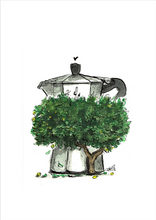 Laden Sie das Bild in den Galerie-Viewer, Bialetti Zitronenbaum