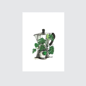 Monstera Bialetti Illustration