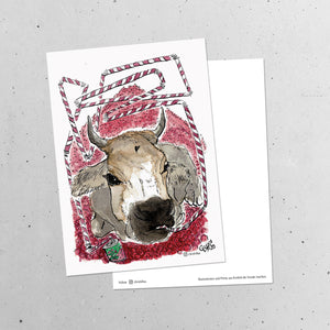 "Cranberry Cow" Illustration